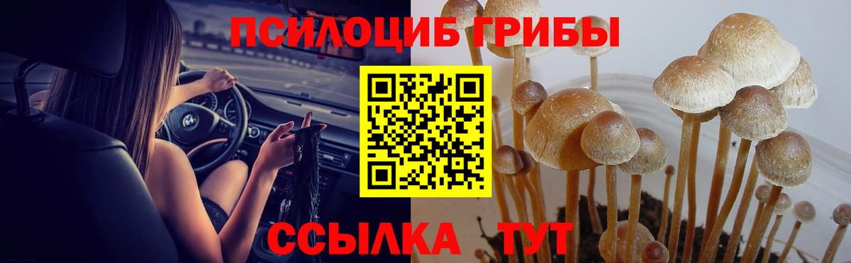 Псилоцибиновые грибы Magic Shrooms  Вход с VPN  Губкинский 